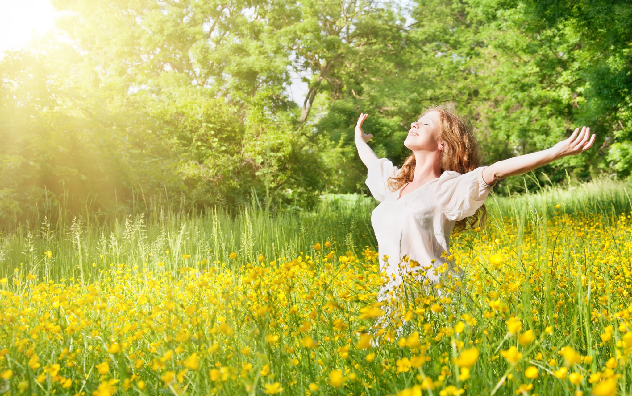 Stress & Stressharmonisierung verwendet eine andere